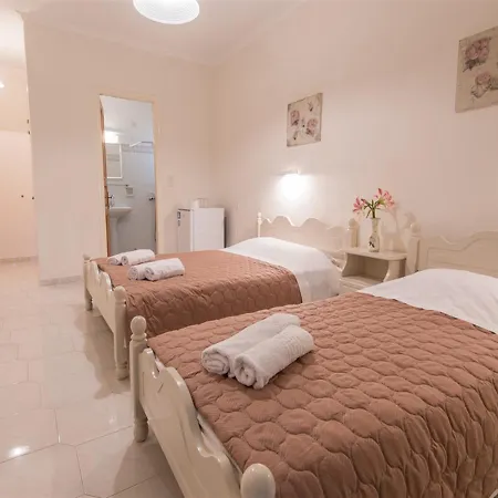 酒店 Olive Tree Hotel